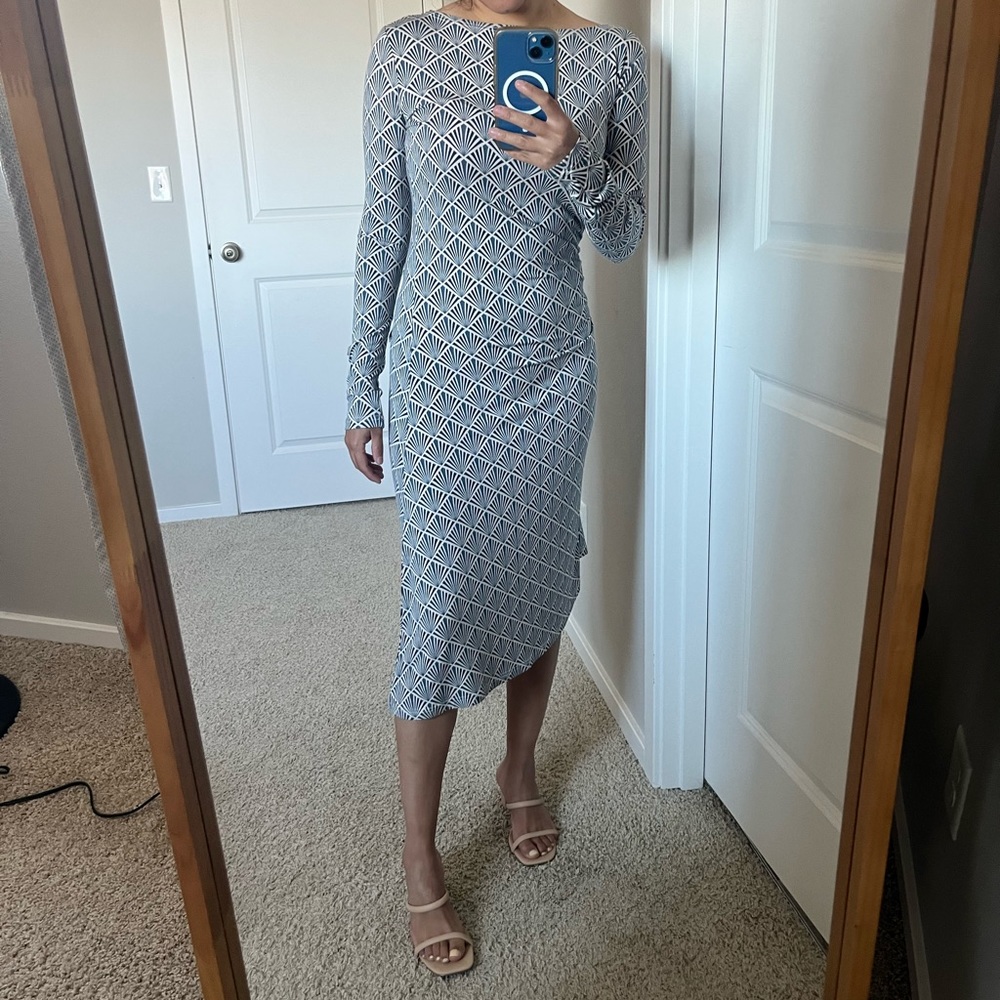 Curve Hugging Long Sleeve Dress